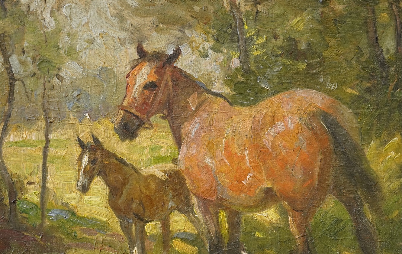 Arthur Spooner (1873-1962), Study of a mare and foal, signed, oil on canvas, 36 x 47cm, Provenance - Artists summer studio, East coast.